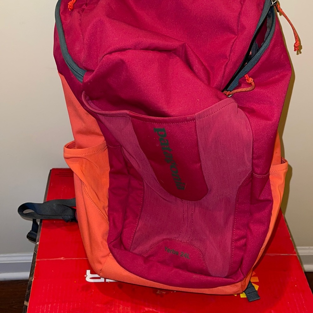 Great used condition Patagonia backpack !!